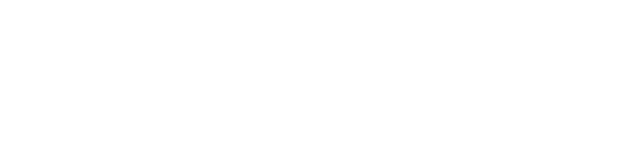 PROGRAMspace Logo